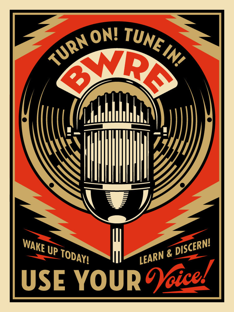 Beware Microphone Screen Print