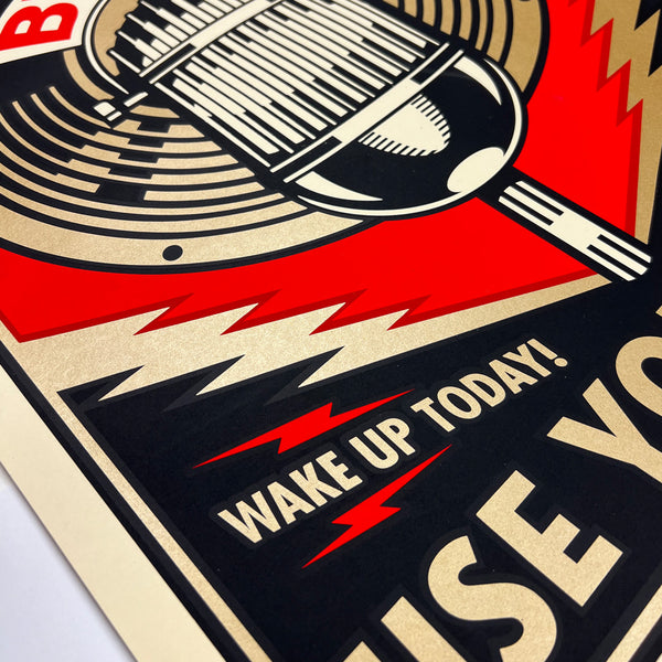 Beware Microphone Screen Print